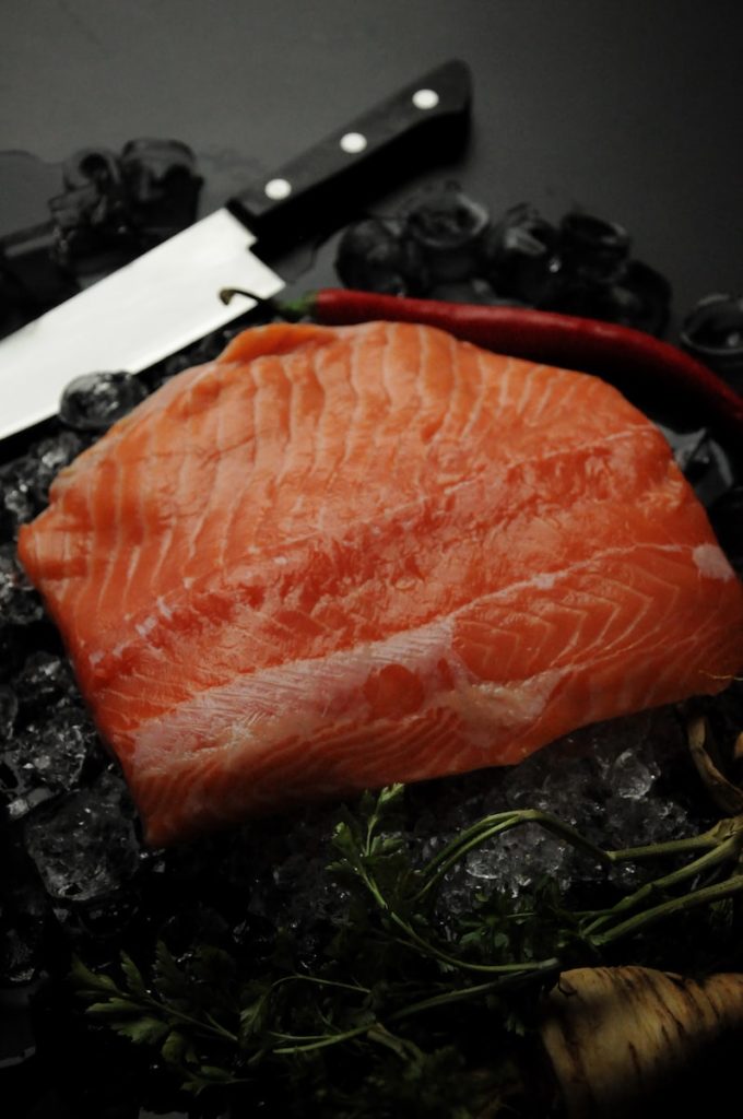 fresh salmon fish