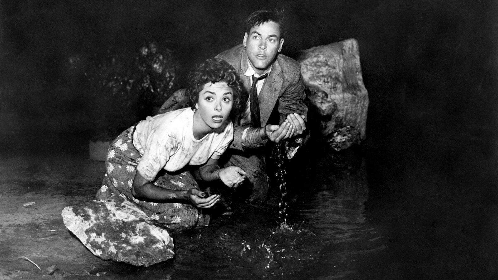 Invasion of the Body Snatchers 1956 - Alien invasion films have enthralled audiences since the early days of cinema. The concept of extraterrestrial beings coming to Earth taps into our fears and curiosities about the unknown. This list highlights 15 of the most iconic and acclaimed alien movies that have left their mark on pop culture.