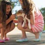 girls, dog, playing