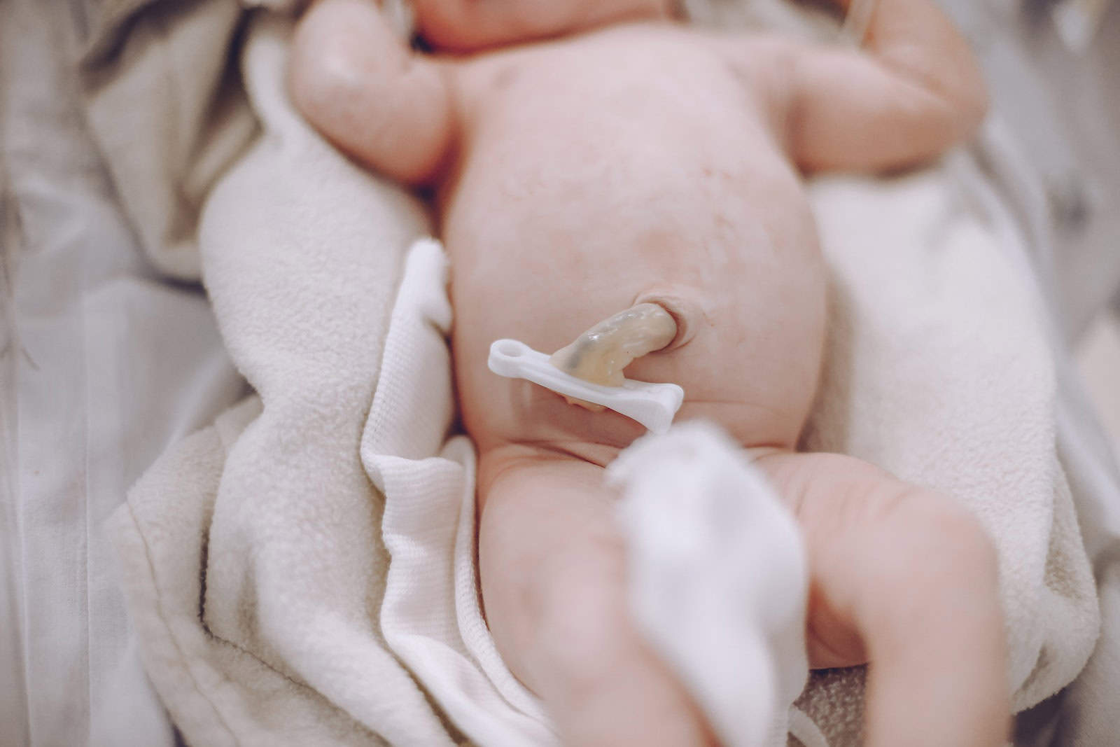 Umbilical Cord