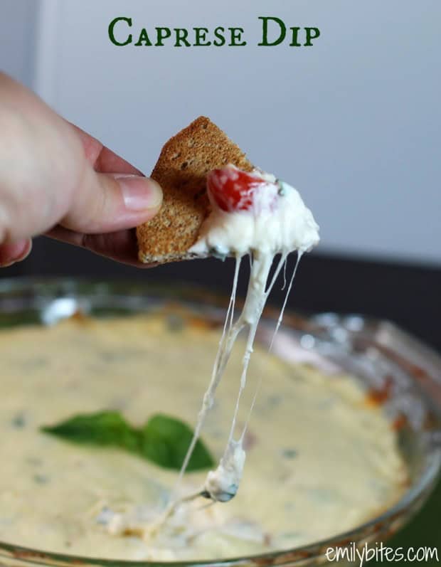 Caprese Dip - Upgrade your picnic experience with our selection of easy picnic recipes and portable picnic snacks. Embrace outdoor dining with our summer picnic basket ideas, offering a variety of healthy picnic meals and picnic finger foods for all to savor. Remember to include picnic desserts and refreshing picnic drinks in your basket. Explore our assortment of quick picnic lunch ideas, gourmet picnic food, and eco-friendly picnic sandwiches to elevate your next outdoor outing.