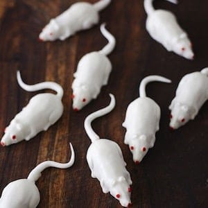 halloween mice cakes intro2 - In this post, I'll delve into a variety of beloved Halloween treats and their recipes. Whether it's crafting bat Oreo truffles or concocting Frankenstein marshmallow pops, the options for Halloween-themed desserts are vast, perfect for gatherings or indulging your sweet cravings. Stay tuned for a flavorful journey through spooky sweets!
