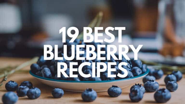 19 Best Blueberry Recipes - Explore an array of vibrant blueberry recipes sure to tantalize your palate with wholesome goodness. Whether it's indulging in fluffy blueberry pancakes or savoring the sweetness of blueberry muffins, unlock a treasure trove of berry-inspired dishes. Let your culinary journey be infused with the delightful essence of berries, igniting a burst of fruity delight in your home kitchen!