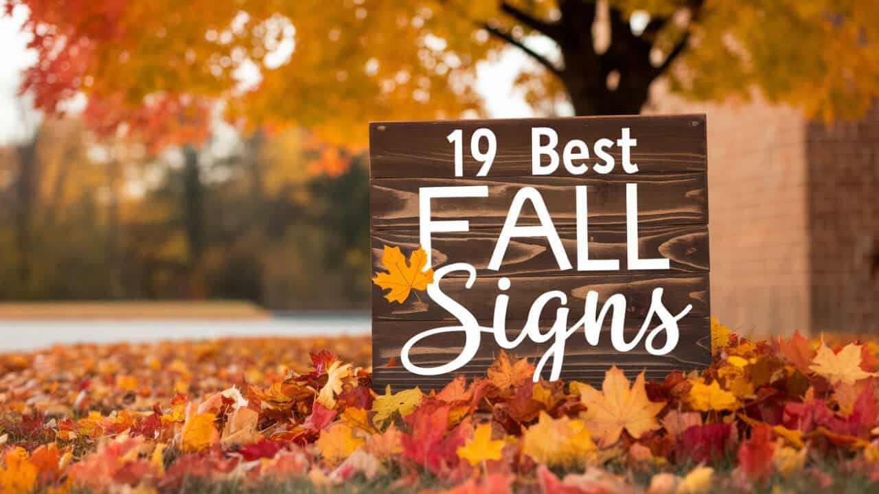 19 Best Fall Signs