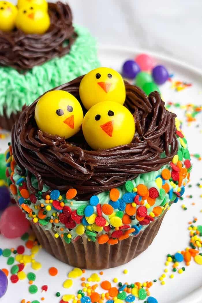 Easter Nest Cupcakes - Explore the Easter spirit with our delightful Easter cupcakes! Including charming Easter bunny cupcakes and Easter egg cupcakes, our selection of easy Easter desserts is sure to please. Uncover DIY Easter cupcake toppers and vibrant spring cupcake decorations to elevate your treats.