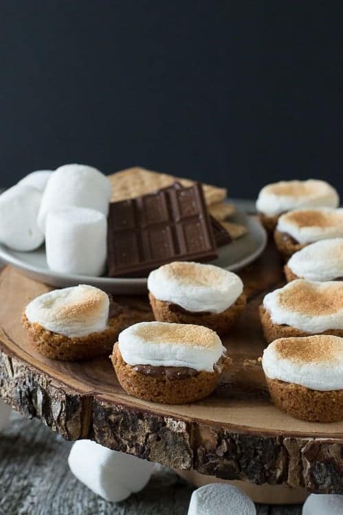 Smores Bites 52 - Savor the delightful flavors of summer with these delectable smores treats! From luscious chocolate bars to crunchy cookies, our simple smores recipes will fulfill all your sweet cravings. Whether you're out camping amidst nature's beauty or simply seeking delightful camping sweets to share with loved ones, these summertime desserts are a must-have. Don't overlook these ideal summer indulgences!