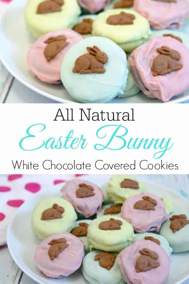 easter bunny cookies pin 2 - Delve into the Easter spirit with our simple yet delightful Easter cookies for children! From adorable bunny-shaped cookies to beautifully adorned egg cookies, we offer a variety of recipes that will add a festive flair to your holiday celebration.