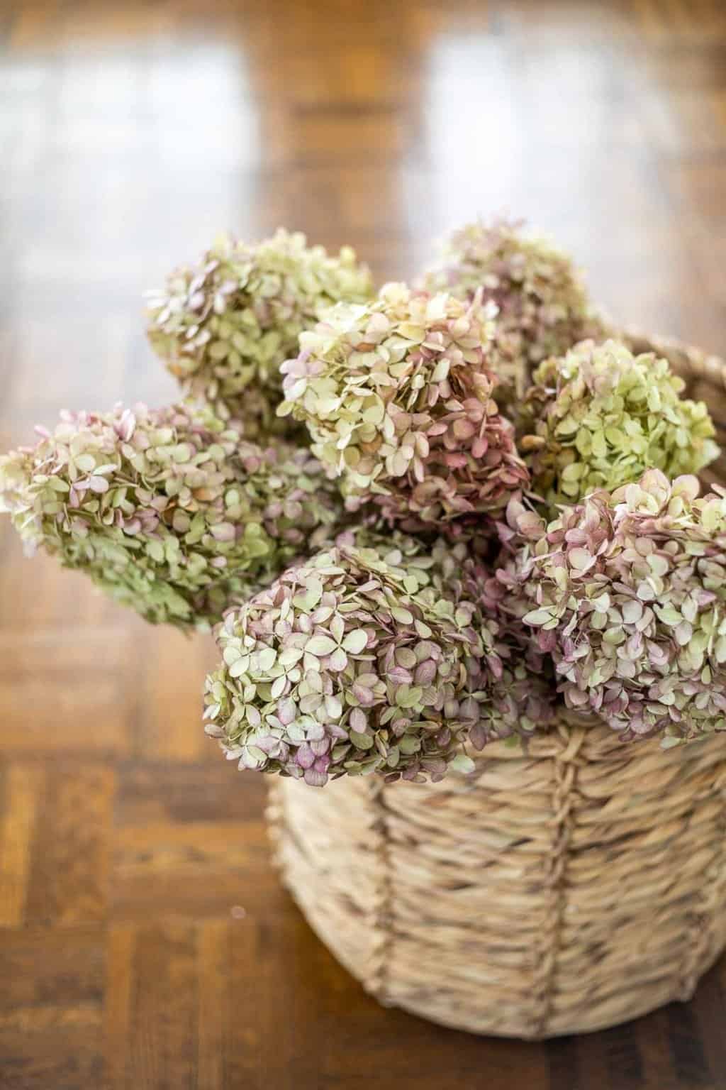 pressed leaf gallery wall and fall entryway 8 of 8 - Explore fall centerpieces for tables that add warmth and beauty to your home. Uncover inventive autumn decor ideas for your table decorations. Ideal for intimate gatherings and special celebrations during the fall season.
