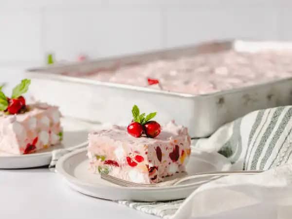 image 8489 - Those potlucks and backyard picnics just wouldn't be the same without an ambrosia salad; creamy and refreshing sweetness just ready to be scooped up. Well, Cranberry Freeze decides to ramp up the refreshment by giving that same salad the frozen yogurt treatment! Tart yet sweet cranberry, fluffy marshmallows, and tangy pineapples are folded with cloud-like cream, and then frozen so each slice is cool and comforting! No matter the season, Cranberry Freeze is a welcome sight and an even more craveable taste!