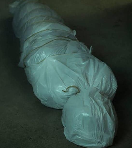 1 body bag e1501591862318 - Halloween is the perfect time to unleash your creativity and transform your home into a spine-chilling spectacle that captures the essence of the season. Whether you're hosting a haunted house, throwing a festive party, or simply looking to impress trick-or-treaters, the right DIY Halloween props can elevate your décor from ordinary to extraordinary.