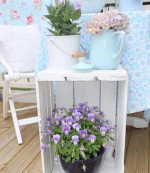 Flowers on a white crate