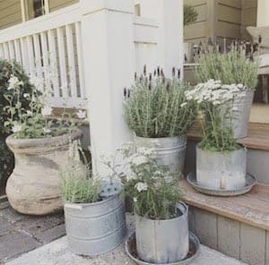 Galvanized Planters on front porch steps