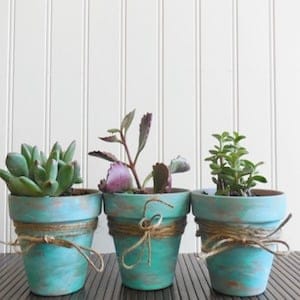 2 Rustic Succulent Pots 5 - Dollar Store Rustic Home Decor Ideas offer a treasure trove of affordable ways to bring warmth and charm into your living space. By using simple items from your local dollar store, you can create beautiful, rustic accents that make your home feel cozy and inviting.