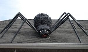 2 giant spider - Halloween is the perfect time to unleash your creativity and transform your home into a spine-chilling spectacle that captures the essence of the season. Whether you're hosting a haunted house, throwing a festive party, or simply looking to impress trick-or-treaters, the right DIY Halloween props can elevate your décor from ordinary to extraordinary.