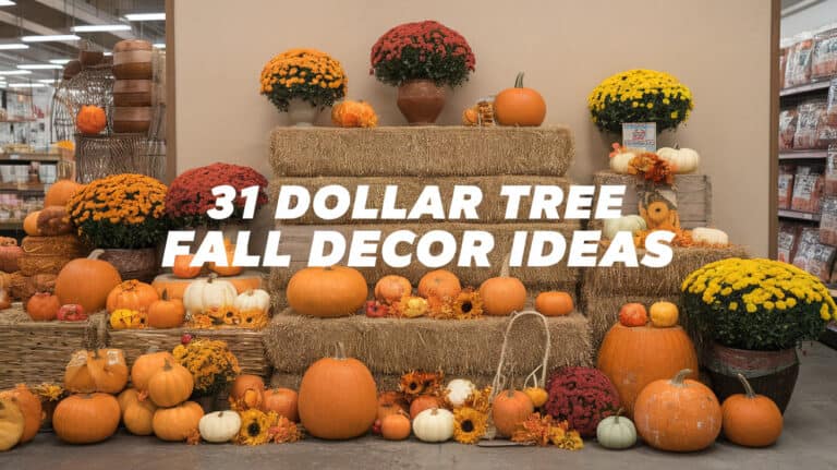 31 Dollar Tree Fall Decor Ideas - When it comes to crafting the perfect fall decor on a budget, Dollar Tree emerges as a treasure trove of creative possibilities. As the crisp air begins to signal the arrival of autumn, many of us feel inspired to transform our homes into cozy sanctuaries that celebrate the season's warmth and beauty.