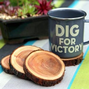 Natural Branch Coasters rustic home decor idea