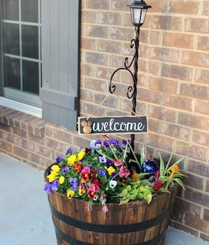 Whiskey Barrel Planter