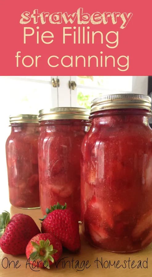 image 31 78 - When it comes to canning recipes, there's no better way to capture the essence of your favorite fruits, vegetables, and even meats than by preserving them at their peak freshness. Whether you're a seasoned pro or just starting out, canning allows you to enjoy the flavors of each season all year round.