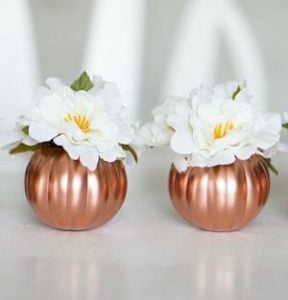 pumkins in a row - As the holiday season approaches, the desire to create a warm and inviting atmosphere for Thanksgiving gatherings becomes a priority for many. Thanksgiving is a time to celebrate gratitude, family, and the abundance of the harvest, and what better way to set the scene than with thoughtful decorations that reflect the spirit of the season?