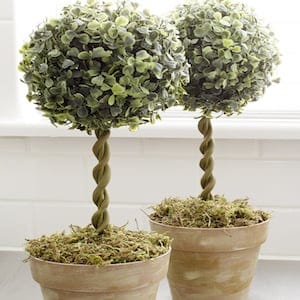 dollar tree Topiary Trees