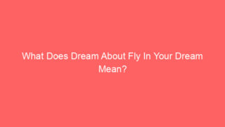What Does Dream About Fly In Your Dream Mean?