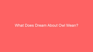 What Does Dream About Owl Mean?
